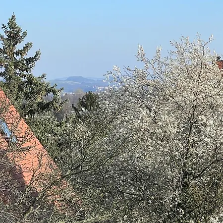Ferienwohnung Dresden דרזדן