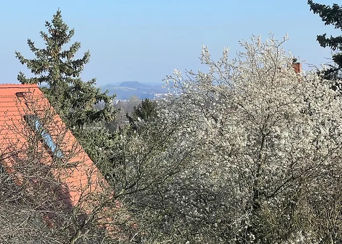 Ferienwohnung Dresden Dresden